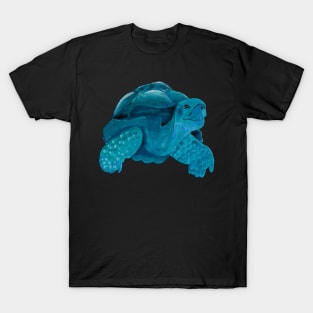 Blue turtle T-Shirt